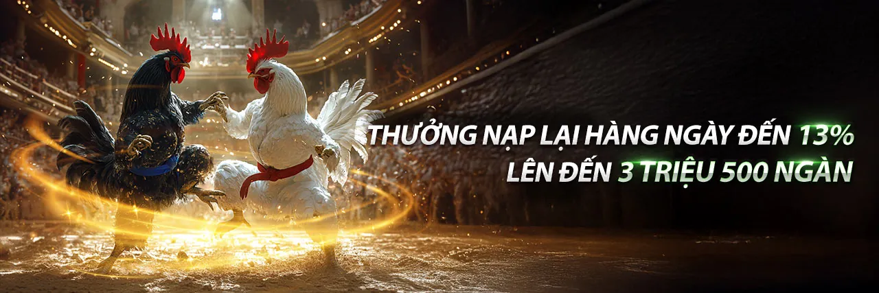 Hình ảnh chính blog VBET