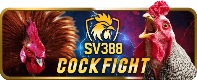 Biểu tượng giới hạn độ tuổi 18+